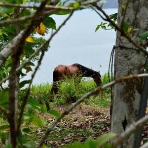 Meet your Posher, Lindsay